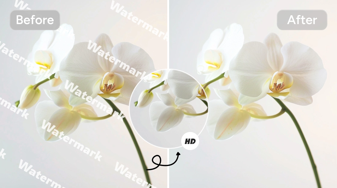 고품질로 히아신스 사진에서 워터마크를 제거한 전후 효과